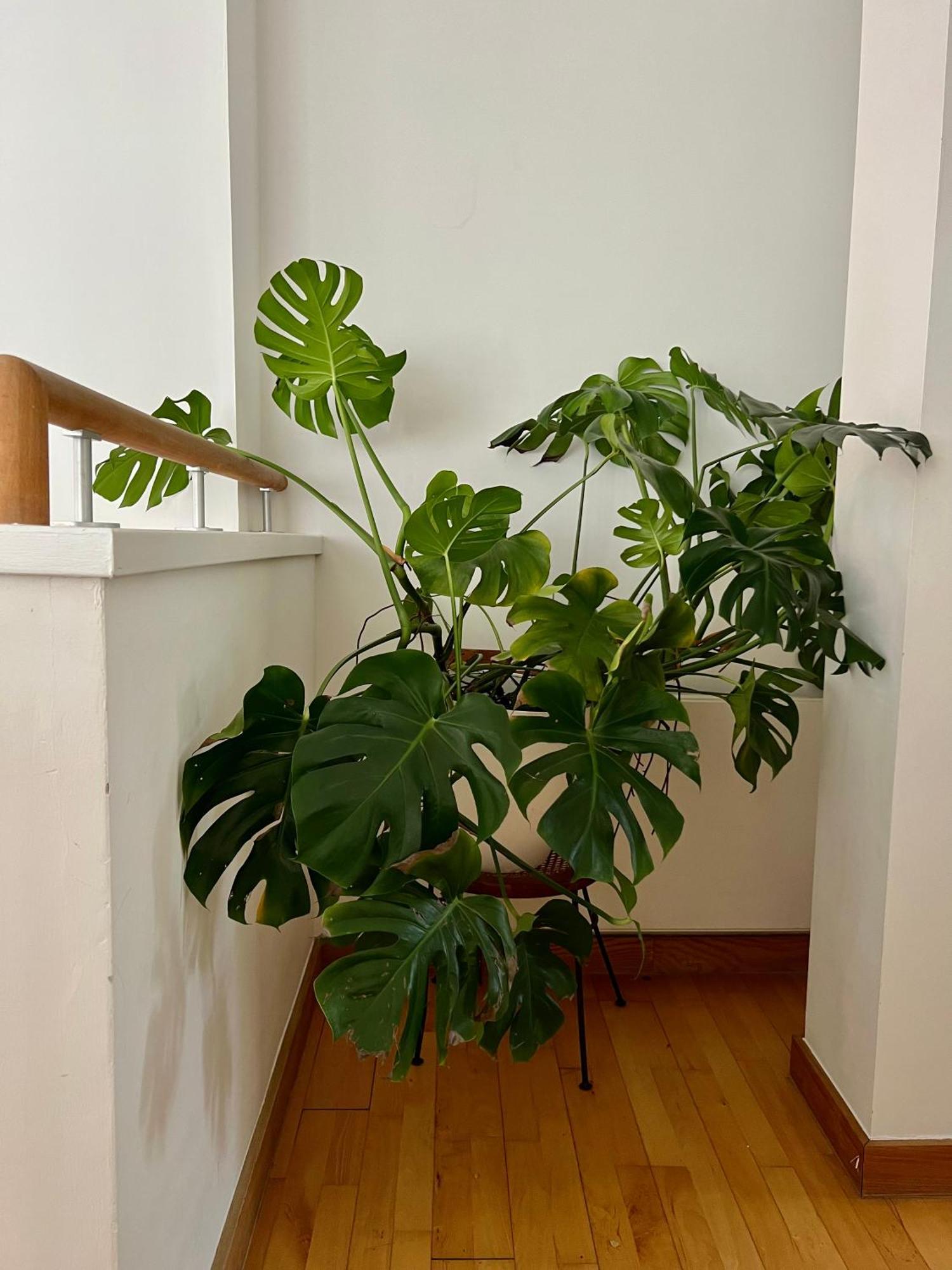 Huge Room For Recharge And Relaxation In Loft With Sauna In Central Λονδίνο Εξωτερικό φωτογραφία