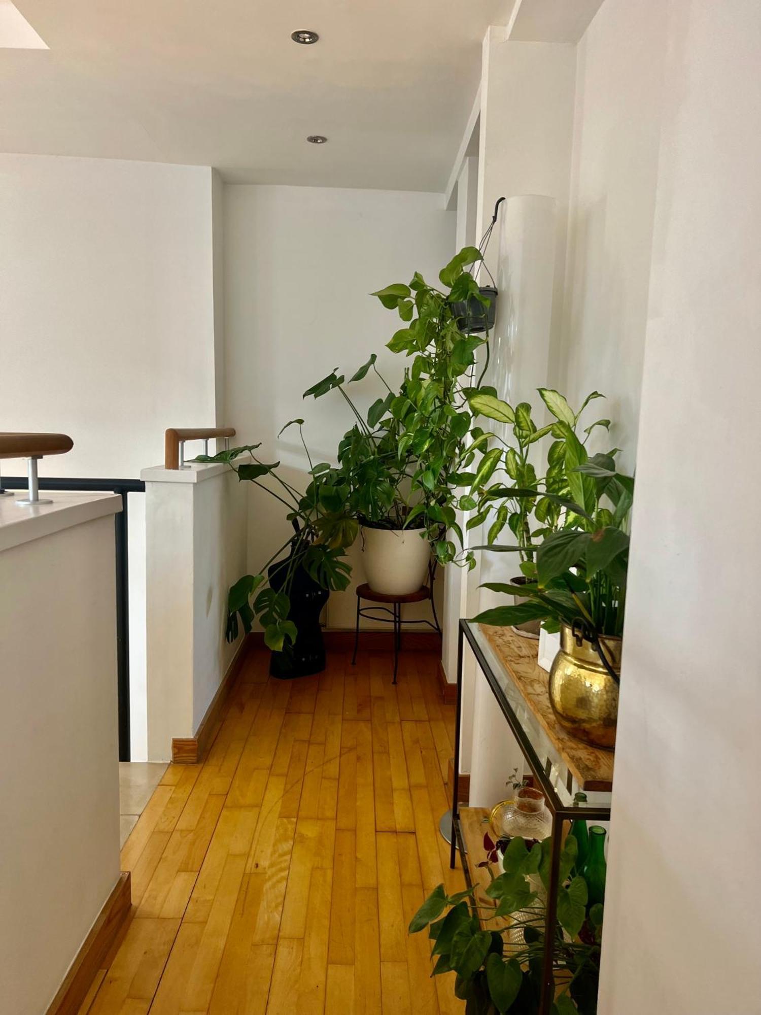 Huge Room For Recharge And Relaxation In Loft With Sauna In Central Λονδίνο Εξωτερικό φωτογραφία